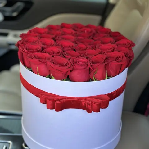 Crimson Kiss
